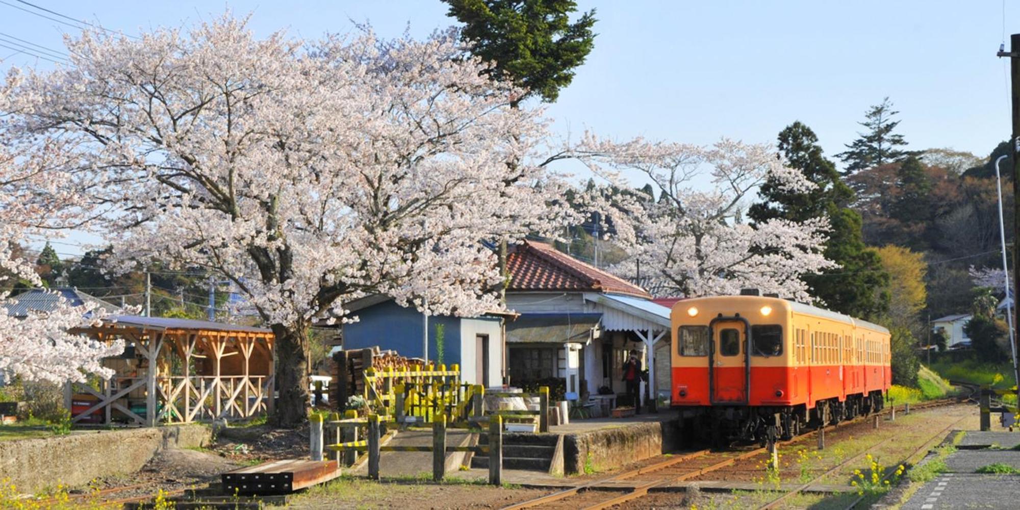 Marine 2* Ichihara